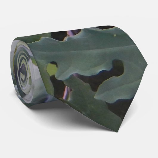 Kale Stropdas (Opgerold)