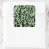 Kale Vierkante Sticker (Tas)