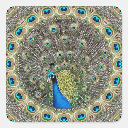 Kaleidoscoop Peacock Vierkante Sticker (Voorkant)