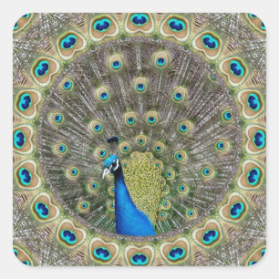 Kaleidoscoop Peacock Vierkante Sticker