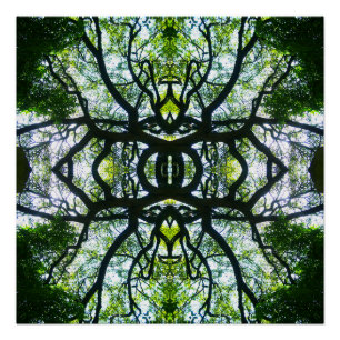 Kaleidoscoop Perfect Poster