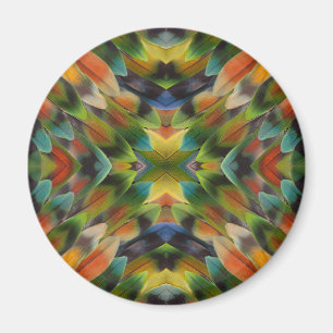Kaleidoscoop van agapadusharen magneet