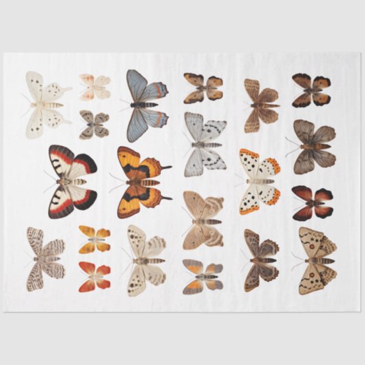 Kaleidoscoop van motten 1 Decoupage papier (Voorkant)