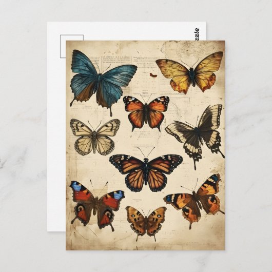 Kaleidoscope à papillon : Carte postale Vintage (Devant / Derrière)