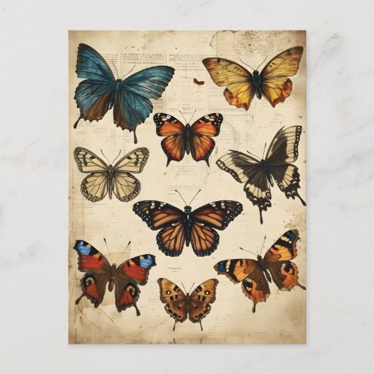 Kaleidoscope à papillon : Carte postale Vintage (Devant)