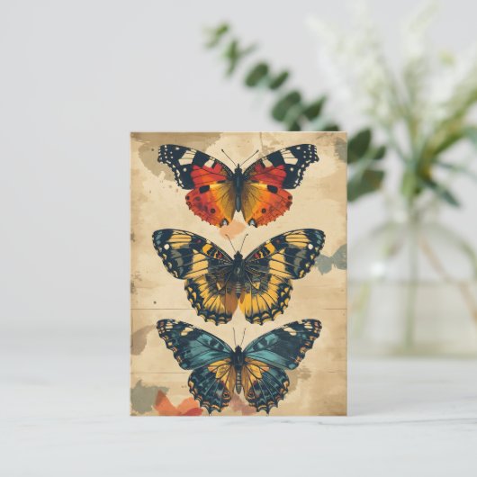 Kaleidoscope à papillon : Carte postale Vintage (Debout devant)