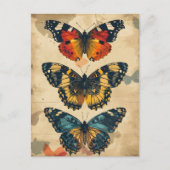 Kaleidoscope à papillon : Carte postale Vintage (Devant)