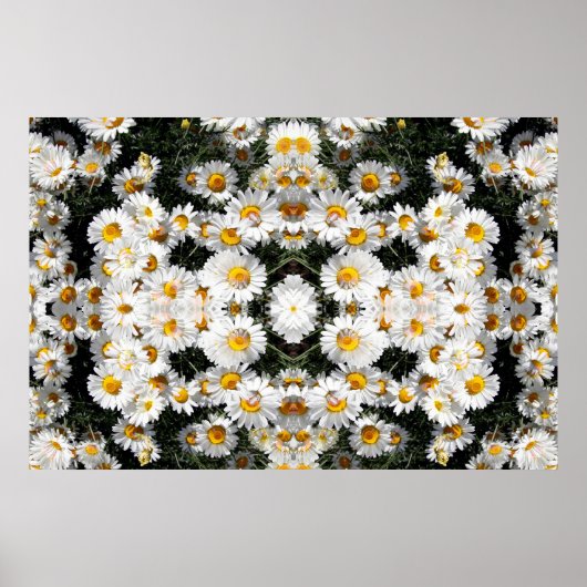 Kaleidoscope Daisies Pattern Poster (Voorkant)
