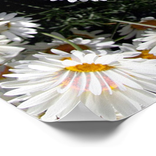 Kaleidoscope Daisies Pattern Poster (Hoek)