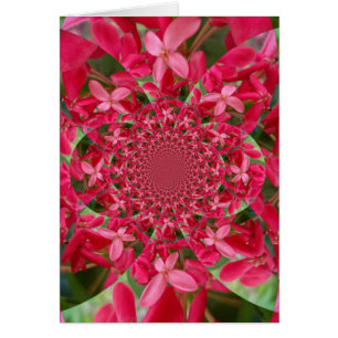 Kaleidoscope de Crimson : Blood Milkweed Flower Ar