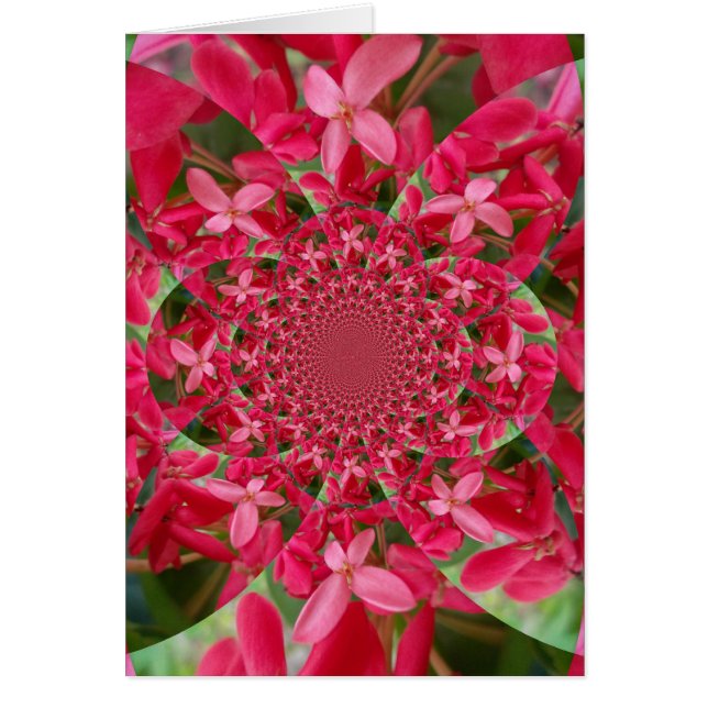 Kaleidoscope de Crimson : Blood Milkweed Flower Ar (Devant)