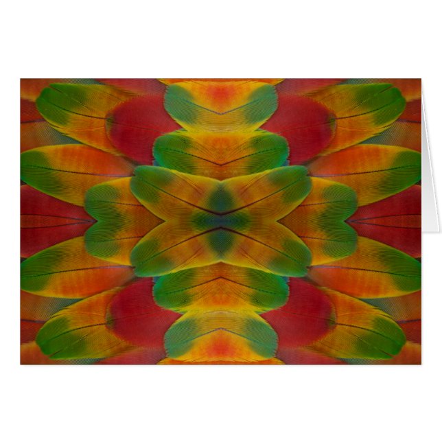 kaléidoscope de plumes de perroquet ara (Devant horizontal)