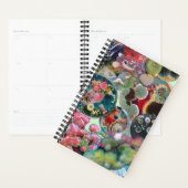 Kaleidoscope microbien : Une colonie en couleur (Devant avec enveloppe)