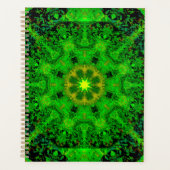 Kaleidoscope Vert Viridescente (Devant)
