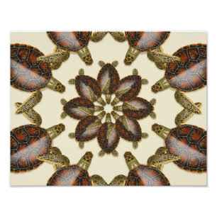 Kaleidoscopische groene schildpad 14 x 11-inch afd foto afdruk