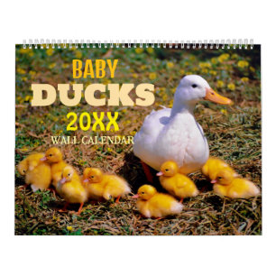Kalendar 2027 met Schattige Eendenbaby's aan de Mu Kalender