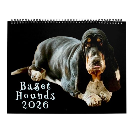 Kalender (Hoes)