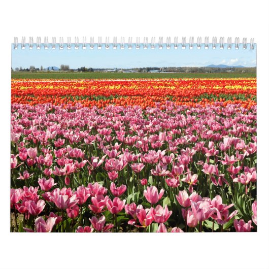 Kalender (Hoes)