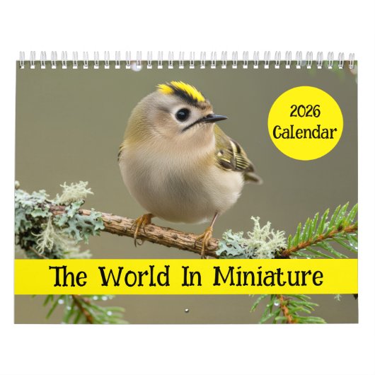 Kalender (Hoes)