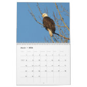 Kalender 12 maanden, roofvogels (Mar 2026)
