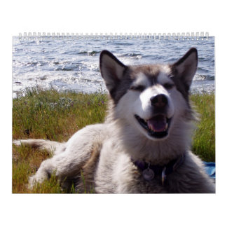 Kalender 2007 van Quinn