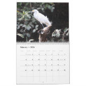 Kalender 2010, vogels in Brazilië (Feb 2026)