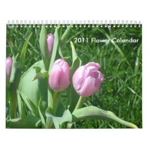 Kalender 2011