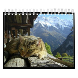 Kalender 2012 voor katten