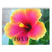 KALENDER 2013 (Hoes)