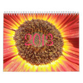 kalender 2013 (Hoes)