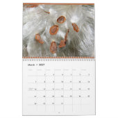 kalender 2013 (Mar 2027)