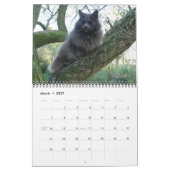 Kalender 2013 - Dieren (Mar 2027)