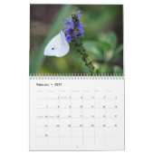 Kalender 2016, vlinders en bloei (Feb 2027)