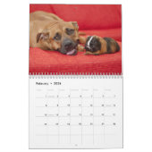 Kalender 2016 voor Sweet Guinee (Feb 2026)