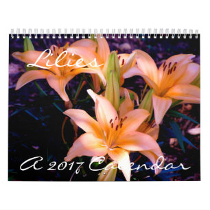 Kalender 2017