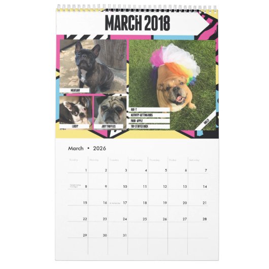 KALENDER 2018 (VORIGE EDITIE) (Mar 2026)
