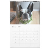 Kalender 2019 Bubba Louie (Feb 2027)