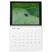 Kalender 2021 voor de juwelen van Hawaï (Mar 2026)