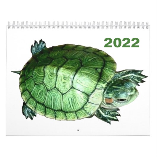 Kalender 2022 Schildpad (Hoes)