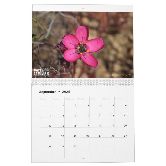 Kalender 2022 voor Kaapverdië (Sep 2026)