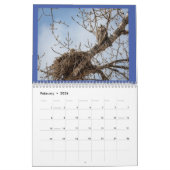 Kalender 2022 voor vogels (Feb 2026)