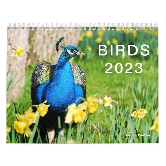 Kalender 2023 van verschillende vogels (Hoes)