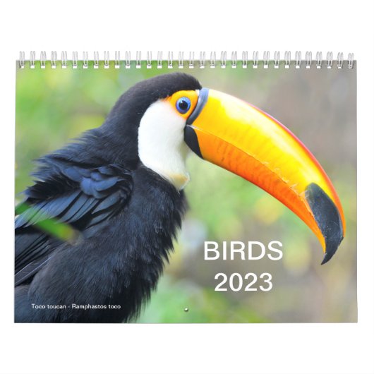 Kalender 2023 van verschillende vogels (Hoes)