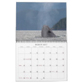 Kalender 2024 definitief (Mar 2027)