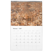 Kalender 2024 - Waterinsecten (Feb 2027)