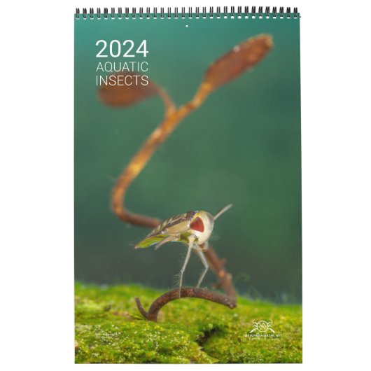 Kalender 2024 - Waterinsecten (Hoes)