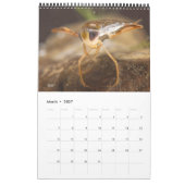 Kalender 2024 - Waterinsecten (Mar 2027)