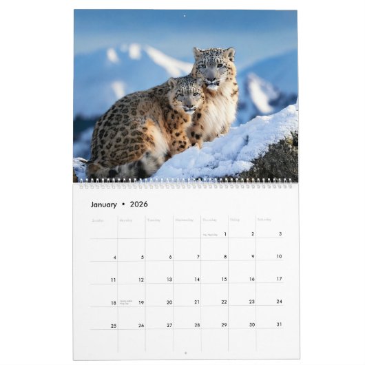 Kalender 2025 (Jan 2026)