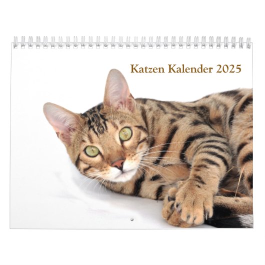 Kalender 2025 Cat Lover Katzen (Hoes)