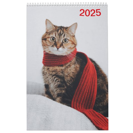 Kalender 2025 Cat Lover Katzen (Hoes)